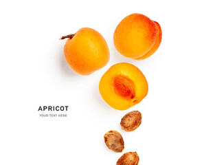 Apricot fruits and seeds creative layout