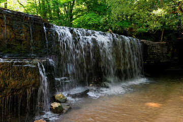 Obraz premium Gentle