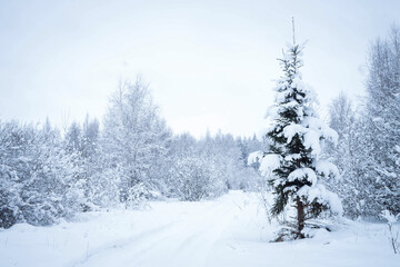 Obraz premium Christmas landscape
