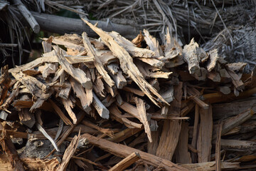 pile of dried firewood