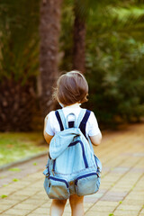 Fototapeta premium little girl, schoolgirl, goes to school with a backpack, rear view