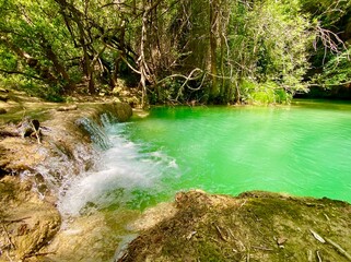 waterfall in the forest