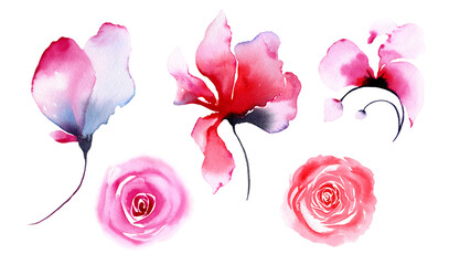 Set of transparent flowers. Pink, red, blue roses. Watercolor illustration isolated on white background