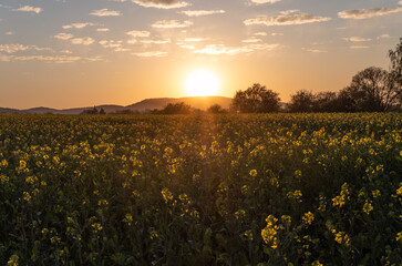 Obraz premium Country landscape in sunshine in Germany