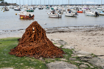 Fishermen on a pontoon of the port on the beach in Brittany