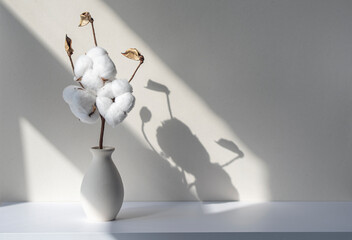 Cotton flower plant in ceramic vase in white desk or shelf. Shadows and silhouettes on the wall during sunny day. Floral room decoration.