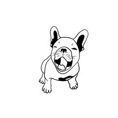 Very tired French Bulldog