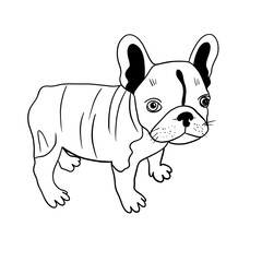 Simple silhouette of a french bulldog puppy