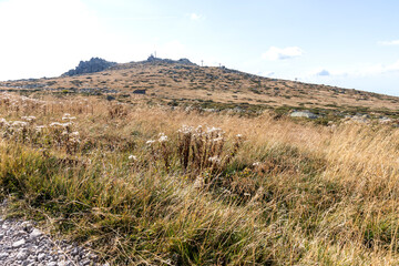 Amazing Autumn Landscape Vitosha Mountain, Bulgaria