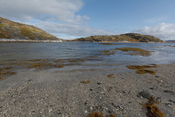 Fototapeta na wymiar Bay, sandy beach and waves.