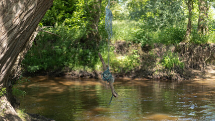 Rope swing over a pond with blue rope