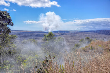 Kilauea Crater, Hawaii Volcanoes National Park, HI - Looking towards the crater from the caldera rim. Sulphur dioxide steam rises like a fog in the grass and trees from cracks and holes in the ground.