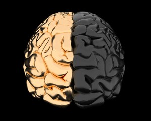3D illustration of the golden human brain, front view.