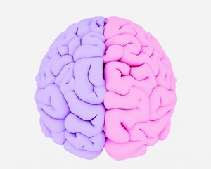 3D illustration of the human brain in plastic glossy material.