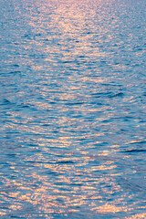 water reflection reflejo en el agua olas waves sunset atardecer duck animal animales pato
