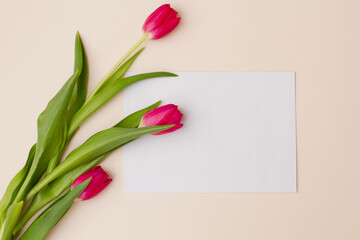 bouquet of pink tulips with green leaves lie on a pastel beige background with an empty white frame for text. Concept for the spring holidays. Mockup of delicate spring flowers