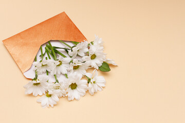 Small white flowers fly out of a small envelope on a beige pastel background. Close-up . Minimalistic concept for spring holidays