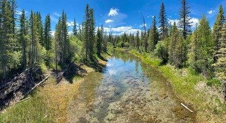 Hiking paths in and around Calgary's Elbow River pathways