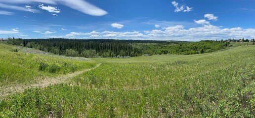 Hiking paths in and around Calgary's Elbow River pathways