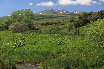 Paysages d'Auvergne