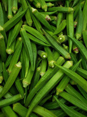 fresh organic okra vegetable for a delicious food