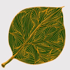 leaf and line abstract