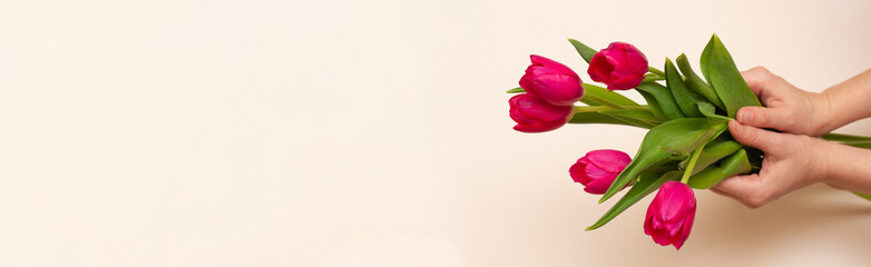 girl holding fresh tender red tulips with green leaves with her hands on a pastel beige background. Concept for Valentine's Day and Spring Holidays. Floral minimalism . Photo banner with copy space