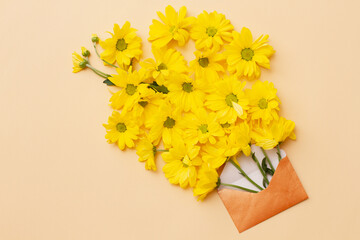 small yellow flowers pouring out of a small beige envelope, close-up top view on a pastel background. Menimalism concept. Springtime season