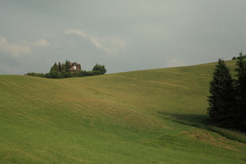 Sunny glade with old cottage