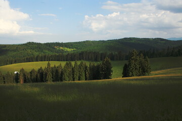 Forested mountainf in Pieniny (Poland)