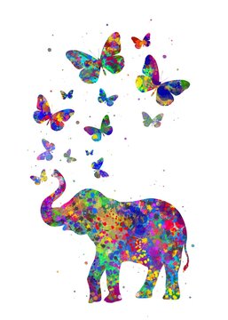 Elephant Butterfly Animal watercolor, abstract painting. Watercolor illustration rainbow, colorful, decoration wall art.