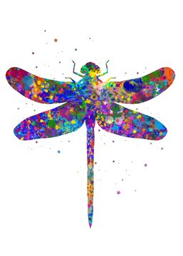 Dragonfly Insect Animal watercolor, abstract painting. Watercolor illustration rainbow, colorful, decoration wall art.