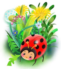 ladybird on a flower