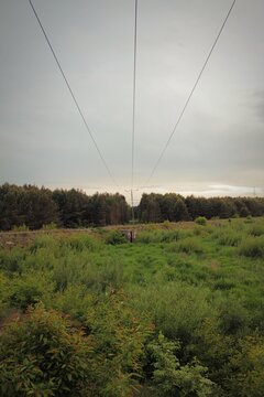 Stunning forest landsape with simetrical electric lines