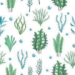 Seamless green seaweeds pattern. Underwater algae. Vector watercolor marine background.	 - obrazy, fototapety, plakaty