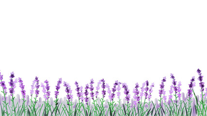 Naklejka premium ラベンダー畑 水彩風