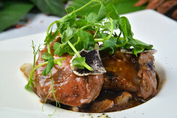 beef stew with micro-greens closeup macro
