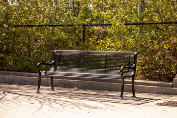 Park bench amount the green shrubs