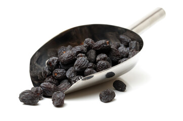 Diospyros lotus on white background