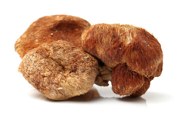 hericium erinaceus on white background © zcy