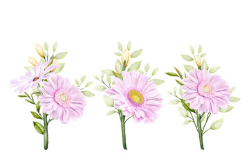 beautiful bouquets flowers illustration