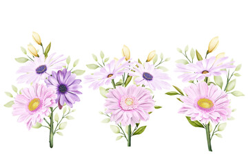 beautiful bouquets flowers illustration