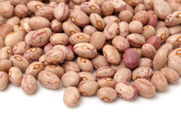 roman bean on white background