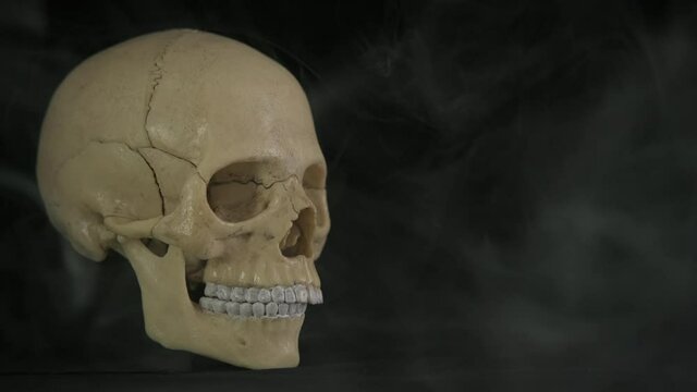 Skull in black room. A human skalp in the grey smoke in the black background.