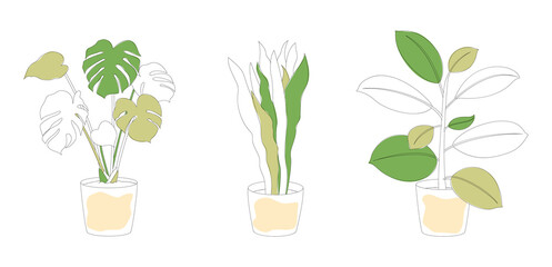 Set of homeplants in flower pots. Monstera, Ficus and Snake Plant. Minimalistic line art with added color. Vector illustration