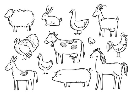 Cool Animal Drawing Ideas! Easy Sketches! – ATX Fine Arts