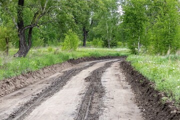 Naklejka premium Laying a new road in a forested area, dirt track