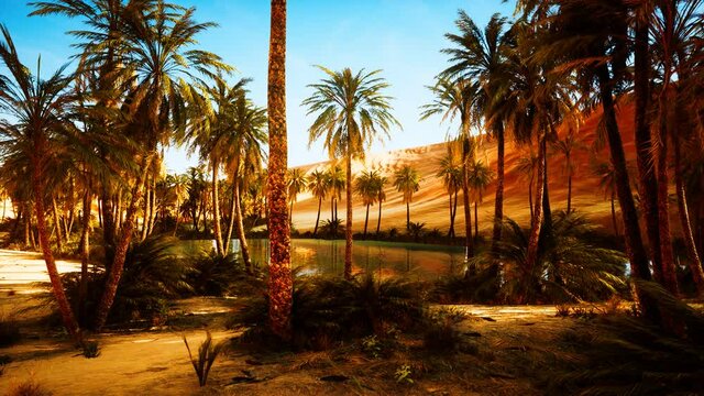 oasis with palm trees in desert