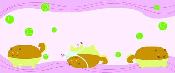 Shiba acting background with tennis ball