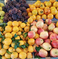 fruits and vegetables